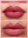 Матовая нюдовая помада Matte Allure-Rendevous 10080 фото 2