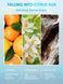 Сыворотка для кожи головы с роликом Ice Revive Scalp Serum 10385 фото 8